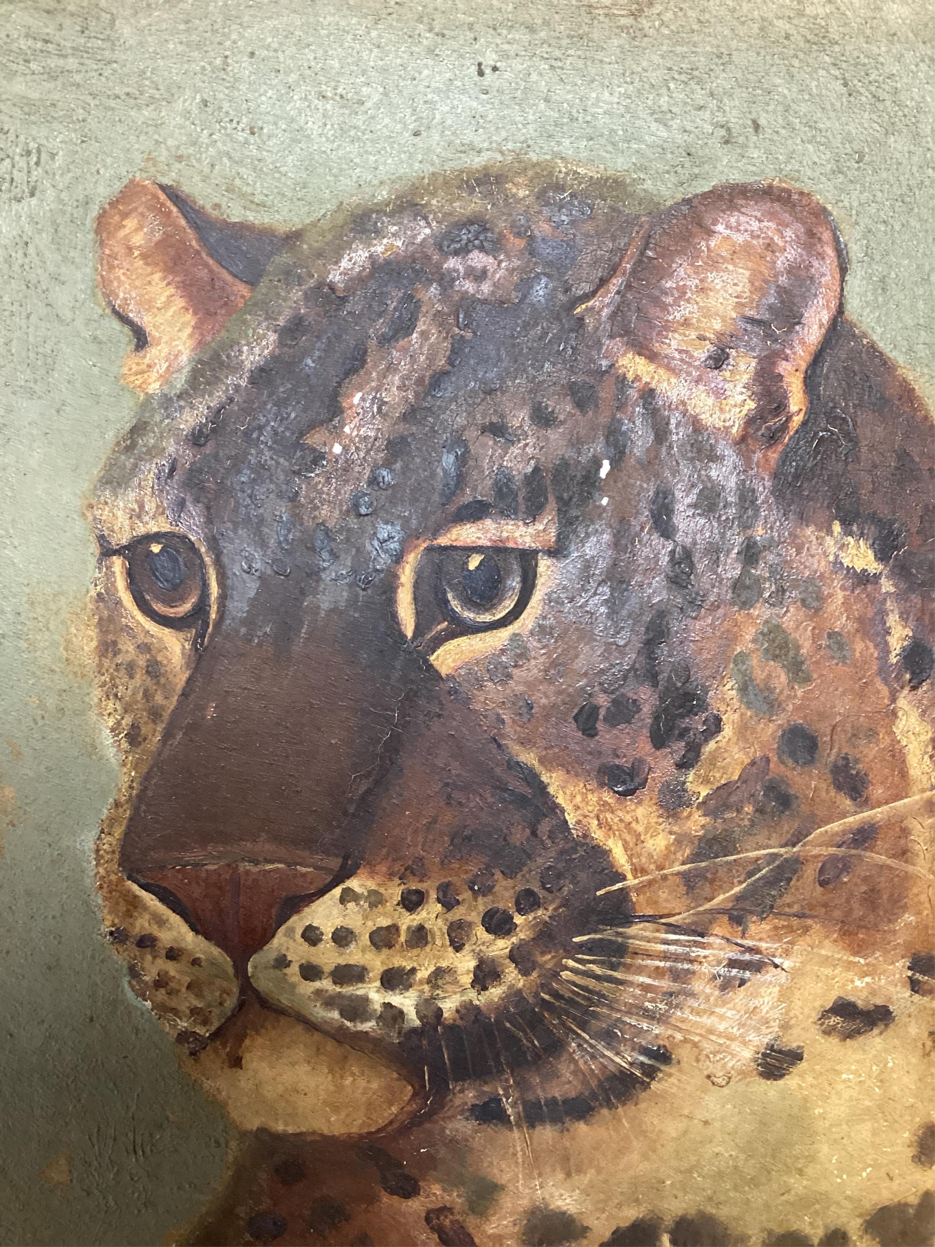 Early 20th century, oil on board, Study of a Leopard, unsigned, 29 x 21cm, gilt framed. Condition - poor to fair